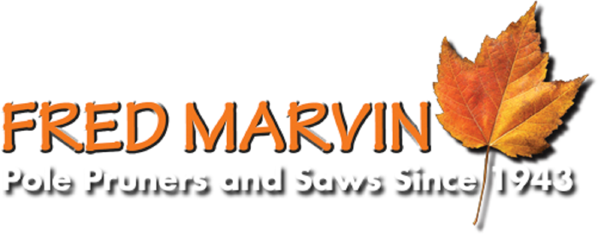 MARVIN LOGO TMN.jpg