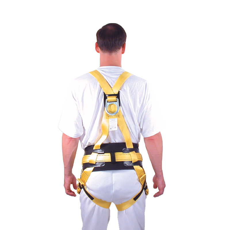 French Creek Roofers Body Harness
