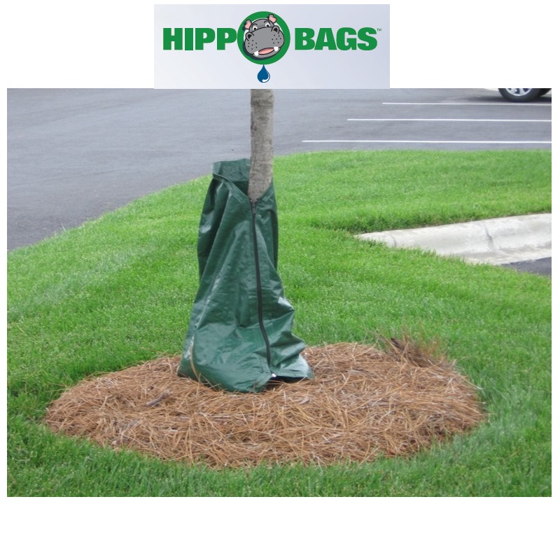 Hippo Tree Watering Bags