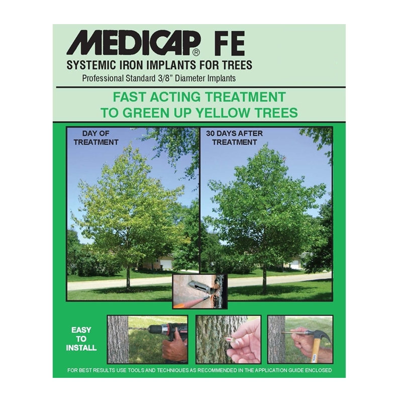 MEDICAP FE Standard - 4/25 Packs 