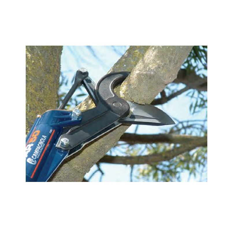 Star 50 Pruner - 9' Pole